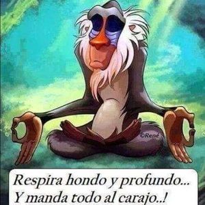 Meet your Posher, Bertha